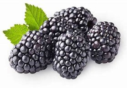 Moras